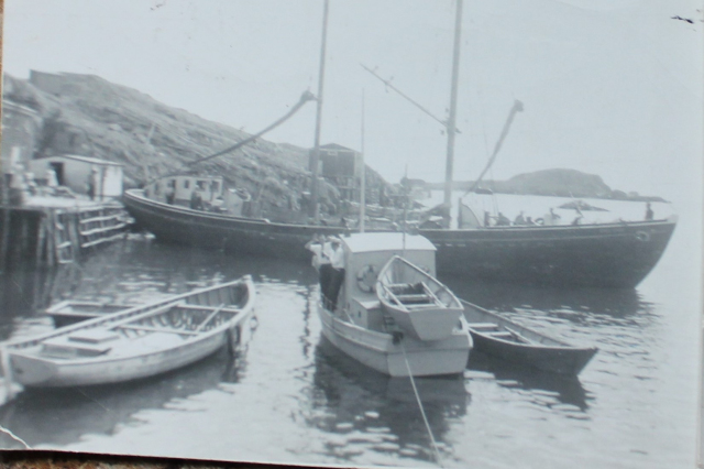 The Marie Stone getting ready to away from Paddy Hann’s wharf in August 1957. You can also see the trap rope moorings strung over Din Pat’s stage roof.&amp;nbsp; The flake is full of dried fish. You may also see the old cod liver oil factory on Soldier’s Point to the left. “For many, many years it was a very busy harbour inlet.”